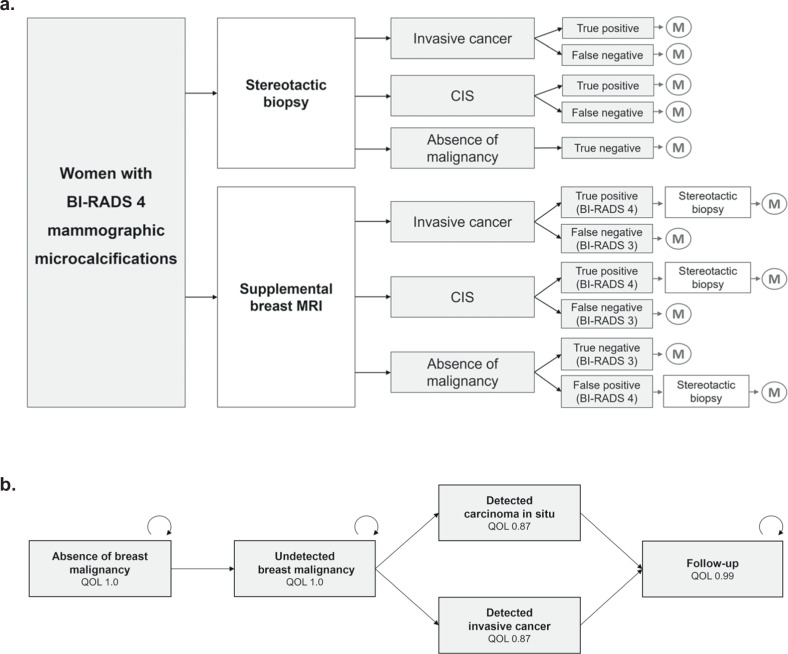 Cost-effectiveness of contrast-enhanced breast MRI in suspicious mammographic microcalcifications.