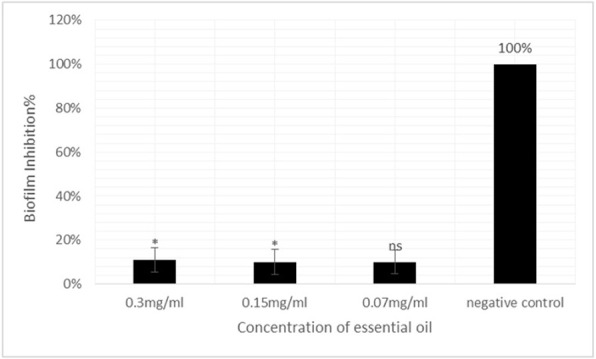 The inhibitory effect of the methanolic extract and the essence of <i>Anvillea garcinii</i> on expression of the genes related to <i>Staphylococcus aureus</i> biofilm formation.
