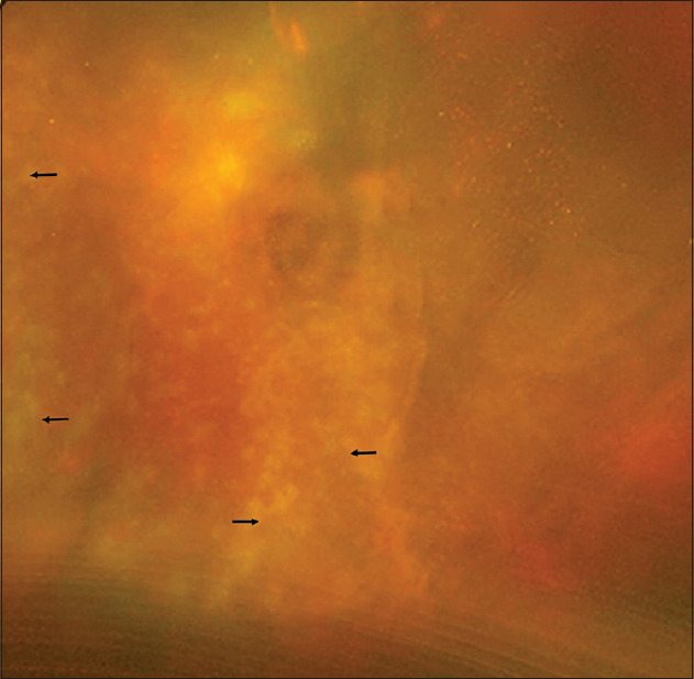 Abstract Image