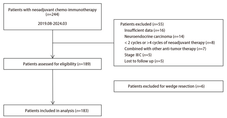 [Analysis of Efficacy and Safety of Neoadjuvant Immunochemotherapy in Patients with Stage IB-IIIB Non-small Cell Lung Cancer].