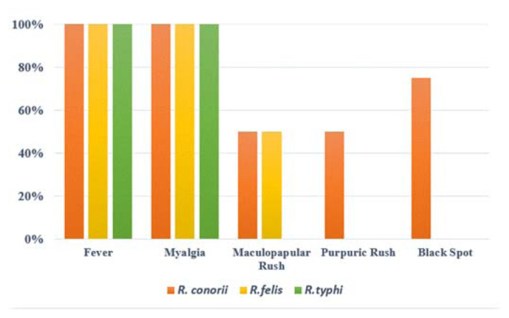 Serological and Molecular Detection of <i>Rickettsia</i> spp in Patients with Meningeal Syndrome in Northern Algeria.