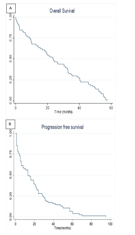 Clinical Characteristics and Treatment Outcomes of Acute Myeloid Leukemia in Adolescent and Young Adult versus Adult Patients: A Single-Center Experience in Qatar.