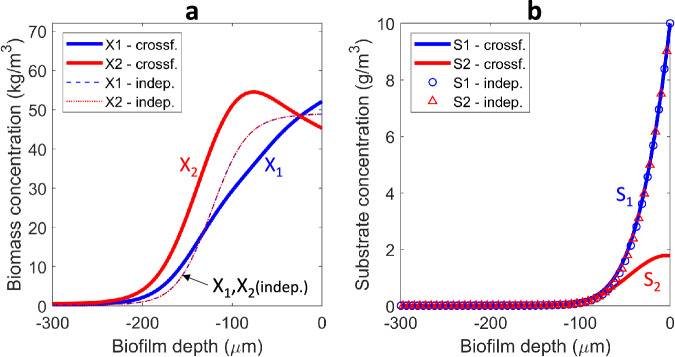 Diffusion-based mechanism explains spatial organization in cross-feeding biofilms.