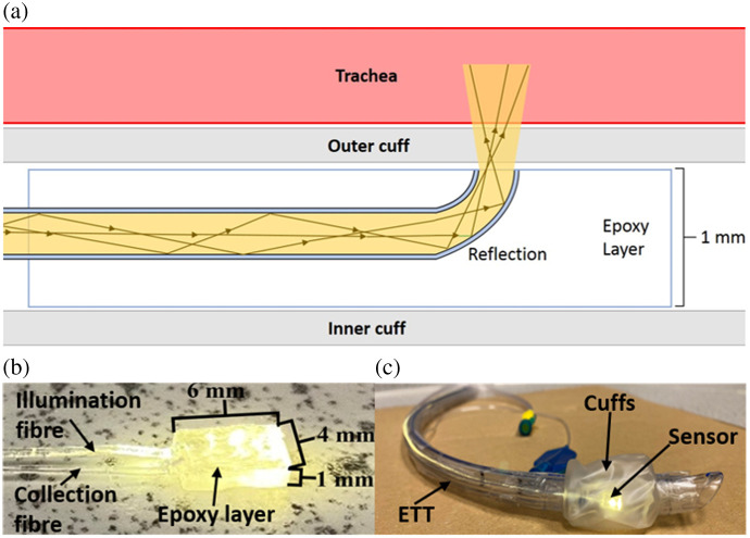 <i>Ex vivo</i> investigation of a smart endotracheal tube for identifying esophageal intubation.