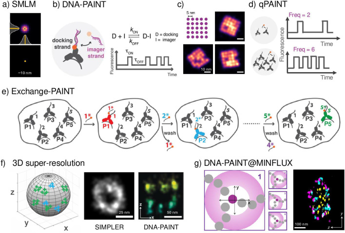 Single-molecule localisation microscopy approaches reveal envelope glycoprotein clusters in single-enveloped viruses: a potential functional role?