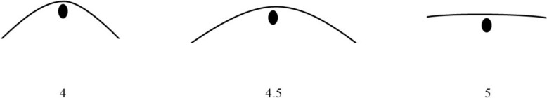 Physiological response to weight carrying and associations with conformation traits in Icelandic horses used for tour riding.