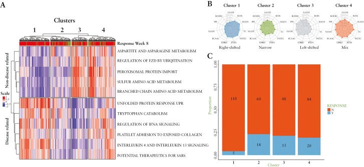 Metabolism and response to stress gene signatures reveal ulcerative colitis heterogeneity and identify patients with increased response to therapy.