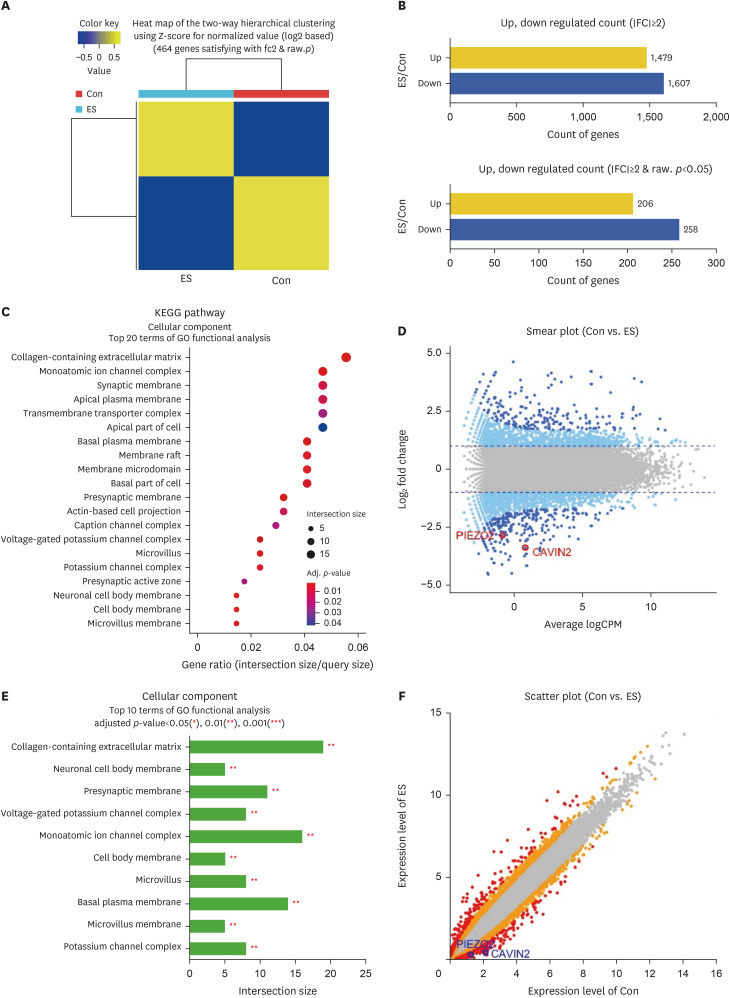 Electrical Stimulation Using a Low-Frequency and Low-Intensity Alternating Current Modulates Type I Procollagen Production and MMP-1 Expression in Dermal Fibroblasts.
