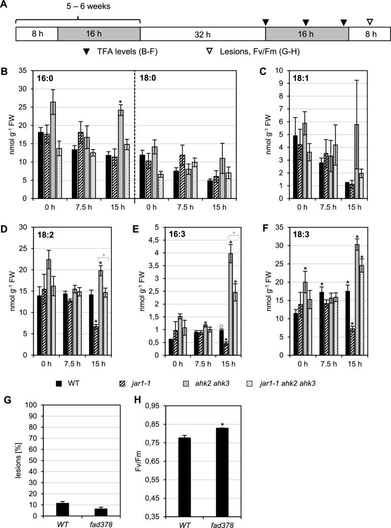 An extragenic second-site mutation in the jar1-1 mutant suppresses the response to photoperiod stress independent of jasmonic acid.