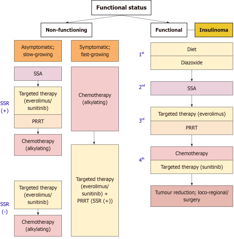 Pancreatic neuroendocrine tumors: A case-based evidence review.