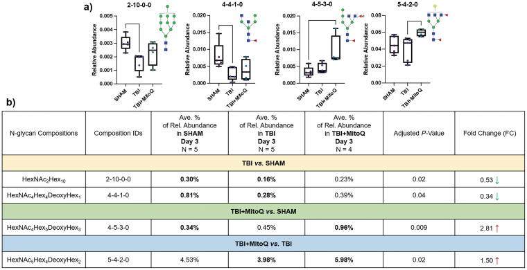 Exploring the Impact of Mitoquinone Supplementation on Glycan Profiles in a Repeated Mild Traumatic Brain Injury Mouse Model.