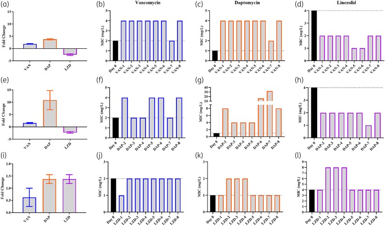 Characterisation of <i>in vitro</i> resistance selection against second-/last-line antibiotics in methicillin-resistant <i>Staphylococcus aureus</i> ATCC 43300 strain.