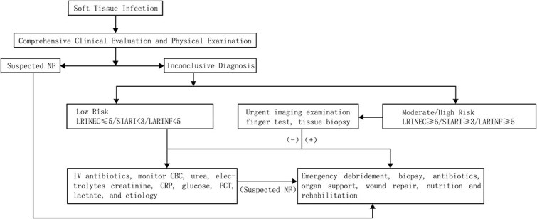 Consensus on the Diagnosis and Treatment of Adult Necrotizing Fasciitis (2025 Edition).