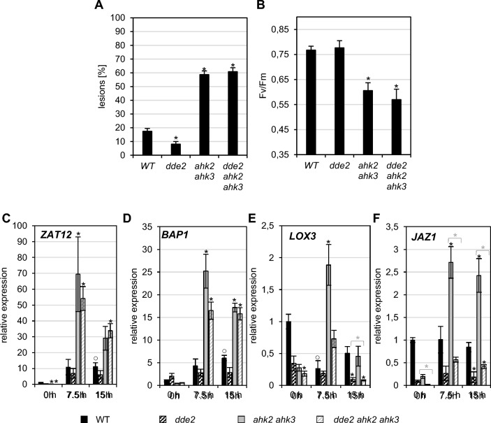 An extragenic second-site mutation in the jar1-1 mutant suppresses the response to photoperiod stress independent of jasmonic acid.