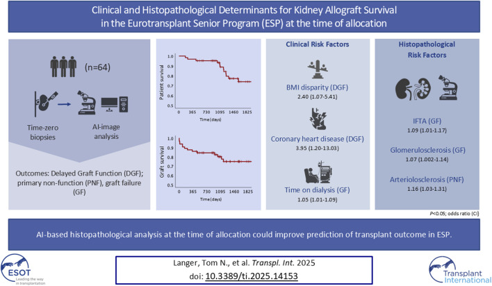 Clinical and Histopathological Determinants for Kidney Allograft Survival in the Eurotransplant Senior Program (ESP) at the Time of Allocation.