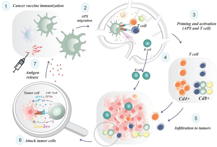 Recent developments in peptide vaccines against Glioblastoma, a review and update.