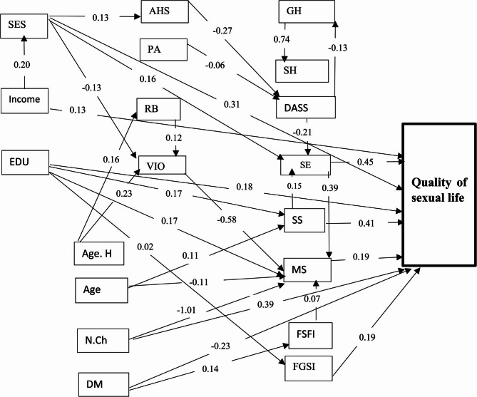 Identifying the social determinants of marginalized women's quality of sexual life based on the WHO approach: path analysis.