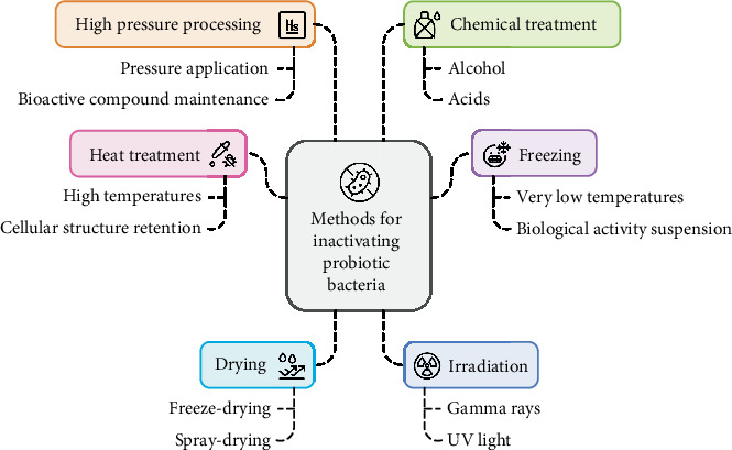 A Review of the Role of Paraprobiotics in the Formulation of High-Protein Ice Cream as an Advanced Functional Food.