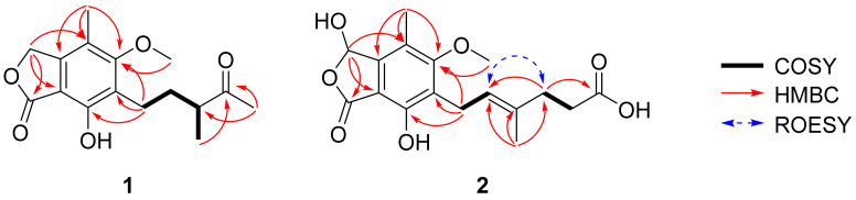 Isolation and Characterization of Secondary Metabolites from <i>Hydractinia</i>-Associated Fungus, <i>Penicillium brevicompactum</i> MSW10-1, and Their Inhibitory Effects on Hepatic Lipogenesis.