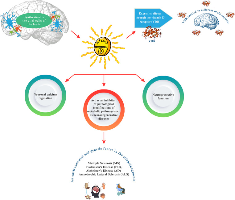 Vitamin D and Neurodegenerative Diseases Such as Multiple Sclerosis (MS), Parkinson's Disease (PD), Alzheimer's Disease (AD), and Amyotrophic Lateral Sclerosis (ALS): A Review of Current Literature.
