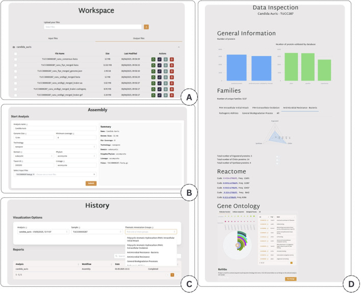 Long-read microbial genome assembly, gene prediction and functional annotation: a service of the MIRRI ERIC Italian node.