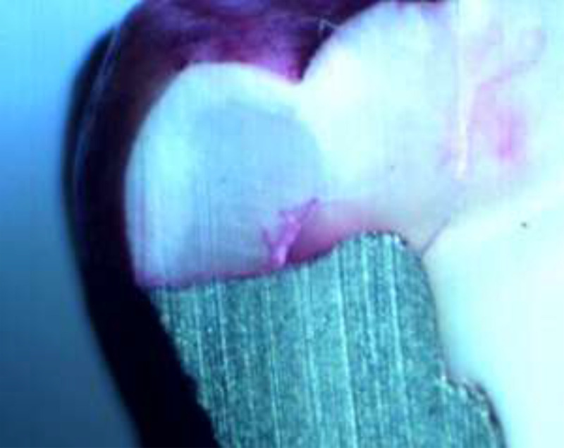 Abstract Image
