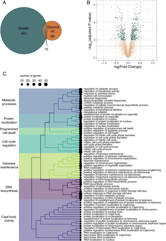 Prediction of lung overdistension during mechanical ventilation using micro-RNA and gene expression.