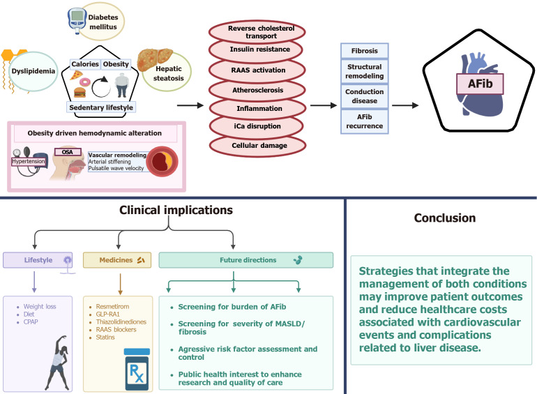 Metabolic-dysfunction associated steatotic liver disease and atrial fibrillation: A review of pathogenesis.