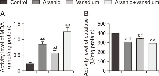Arsenic and vanadium co-exposure induced cerebellar neurotoxicity: aggravates apoptosis, inflammation, oxidative stress, and locomotor deficits in juvenile BALB/c mice.