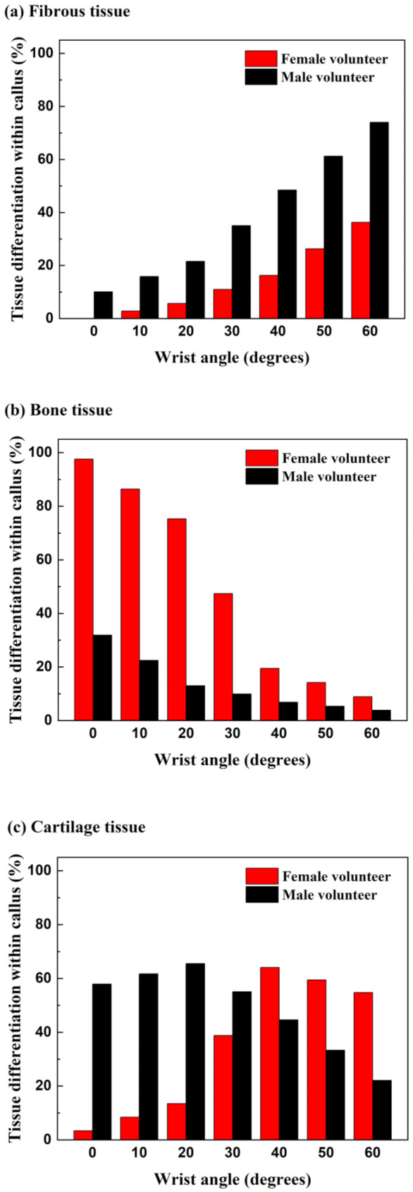 Individual muscle strengths in rehabilitation outcomes of distal radius fracture.