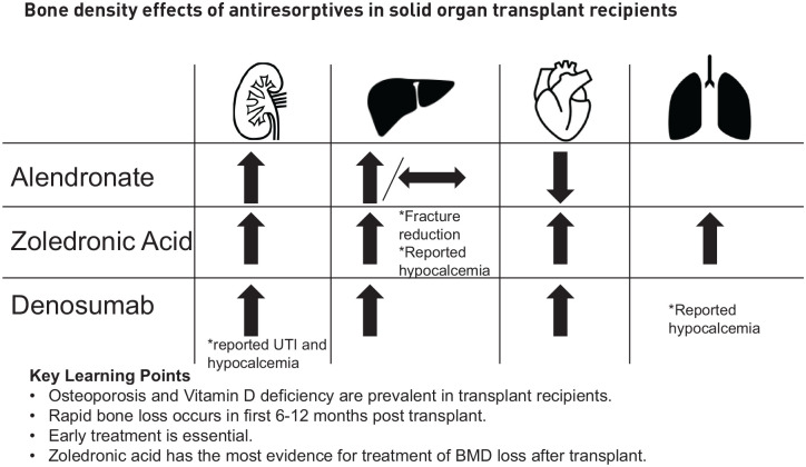 Treatment of osteoporosis in the solid organ transplant recipient: an organ-based approach.