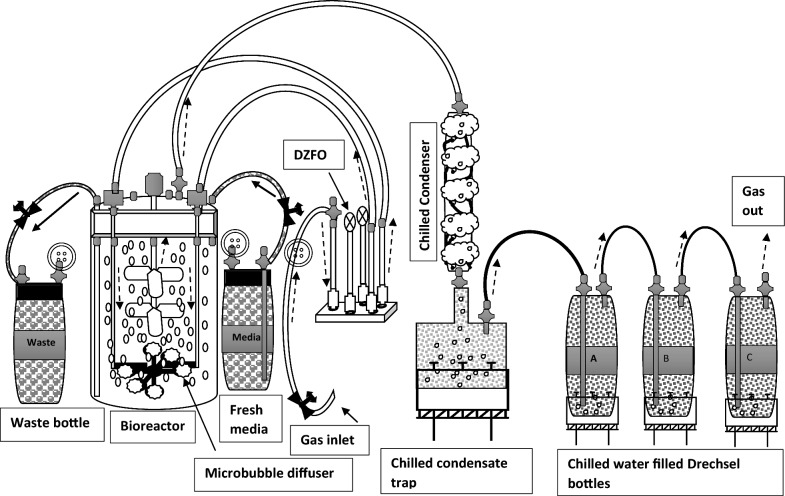 Toxicity reduction in continuous, high productivity ethanol fermentation by Parageobacillus thermoglucosidasius using in situ microbubble gas stripping.