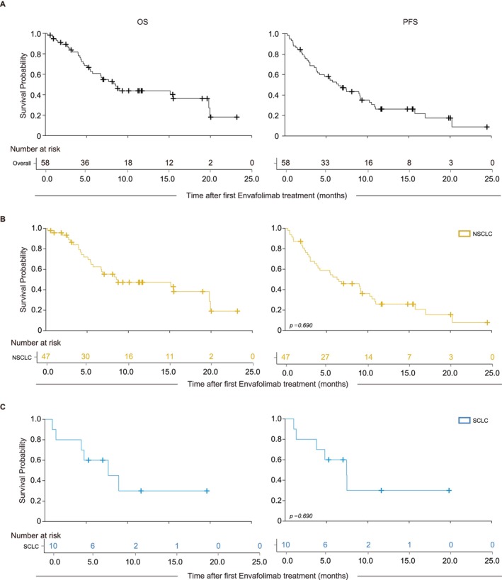 Safety and Efficacy of the First Subcutaneous ICI, Envafolimab, in the Treatment of Advanced Lung Cancer Patients: A Real-World Study.
