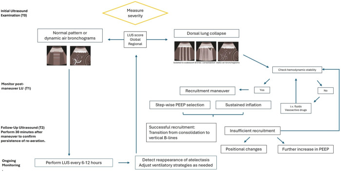Lung re-aeration assessment by ultrasound during mechanical ventilation: Current knowledge of literature review.