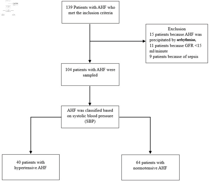 Difference Analysis of N-Terminal B-Type Natriuretic Peptide, High-Sensitivity Troponin I, and Endothelin-1 Levels in Patients With Normotensive and Hypertensive Acute Heart Failure.