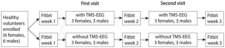 REcovery from DEXmedetomidine-Induced Unresponsiveness (REDEX): A Study Protocol for a Single Center, Parallel Arm, Non-Randomized, Controlled Pilot Trial in Healthy Volunteers.