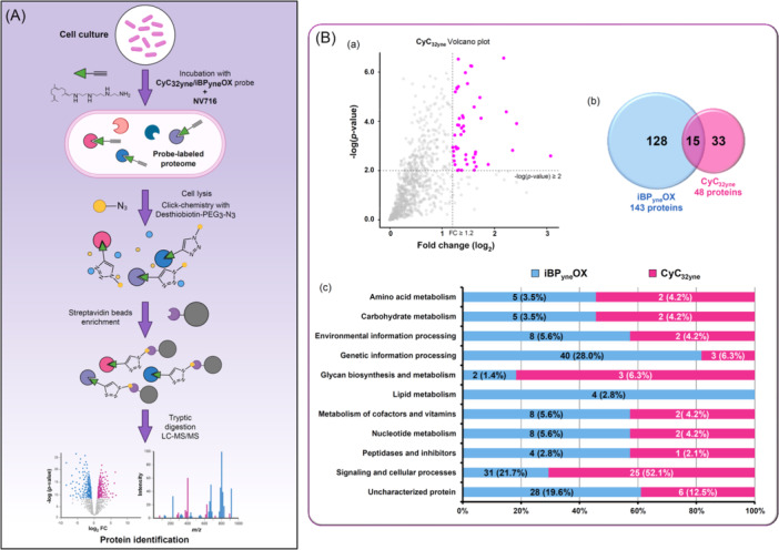 The polyamino-isoprenyl enhancer NV716 enables the antibacterial activity of two families of multi-target inhibitors against the ESKAPEE bacterium <i>Enterobacter cloacae</i>.
