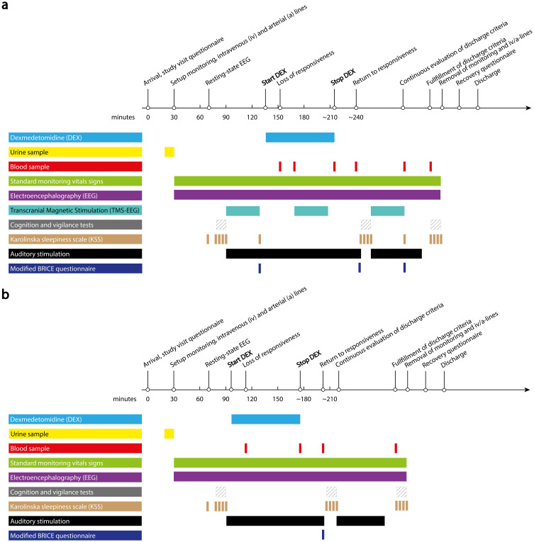 REcovery from DEXmedetomidine-Induced Unresponsiveness (REDEX): A Study Protocol for a Single Center, Parallel Arm, Non-Randomized, Controlled Pilot Trial in Healthy Volunteers.