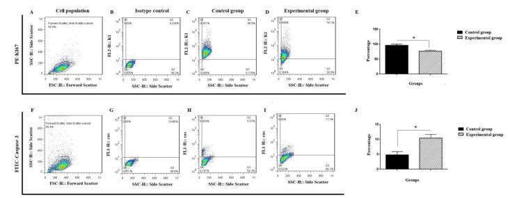 Apoptotic and anti-metastatic effect of chrysin on CD44<sup>+</sup> cancer stem cells from SW480 colorectal cancer cell line.
