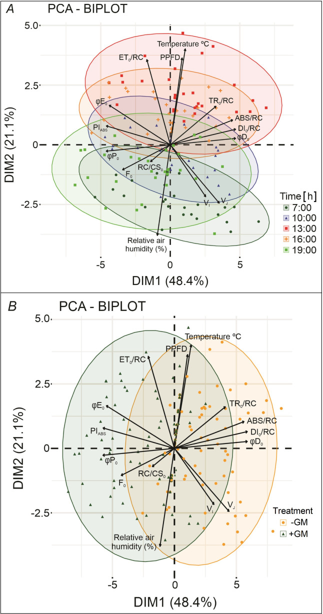 Green manure can be an auxiliary factor against dynamic photoinhibition in <i>Dalbergia ecastophyllum</i> (L.) young trees in areas impacted by mining.