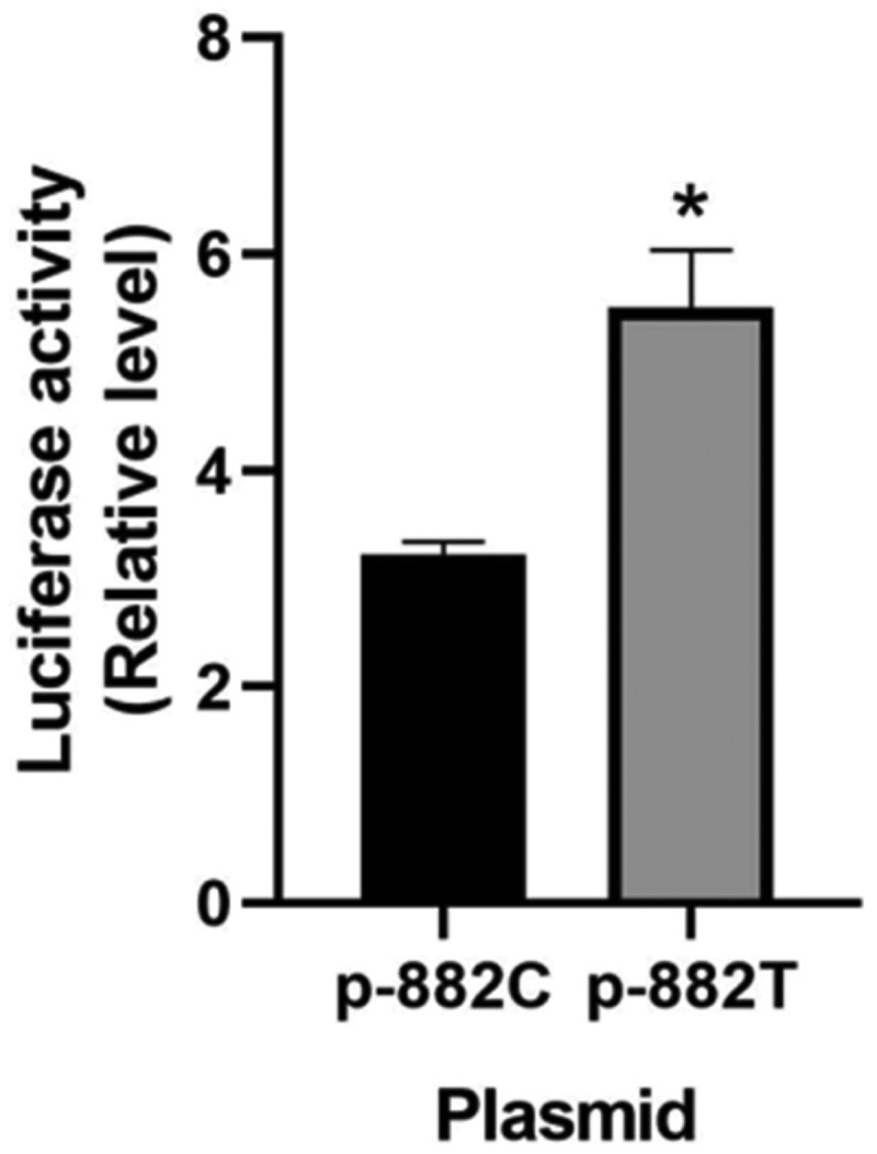 Susceptibility of RUNX1 promoter rs2071029 polymorphism to adjuvant chemotherapy-induced neutropenia in CRC.