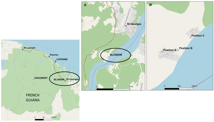 Similar Microsatellite Allelic Distribution Between <i>Anopheles darlingi</i> Population Collected by Human Landing Catch or Mosquito Magnet Traps in French Guiana.