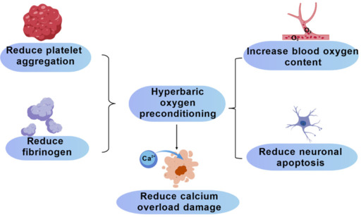 Hyperbaric oxygen therapy for cardiovascular surgery.