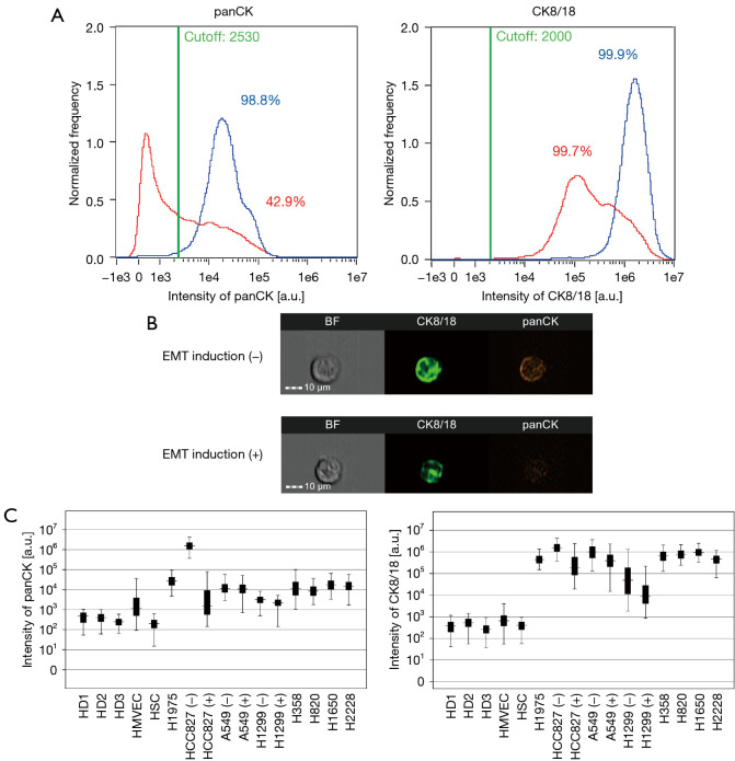 Utility of CK8/18 in identifying circulating tumor cells derived from lesions in patients with non-small cell lung cancer.