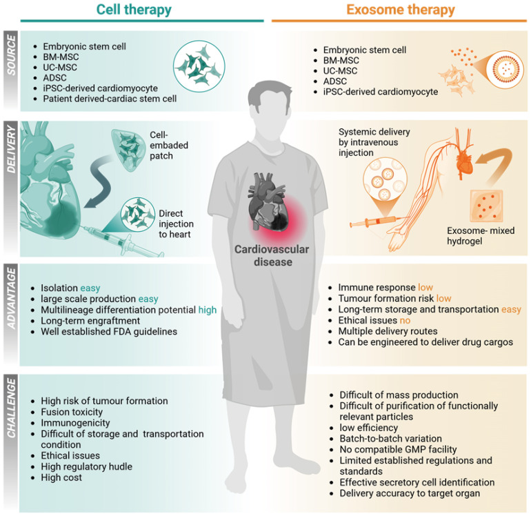 Exosome-Based Therapy in Cardiovascular Diseases: A New Frontier in Cardiovascular Disease Treatment.
