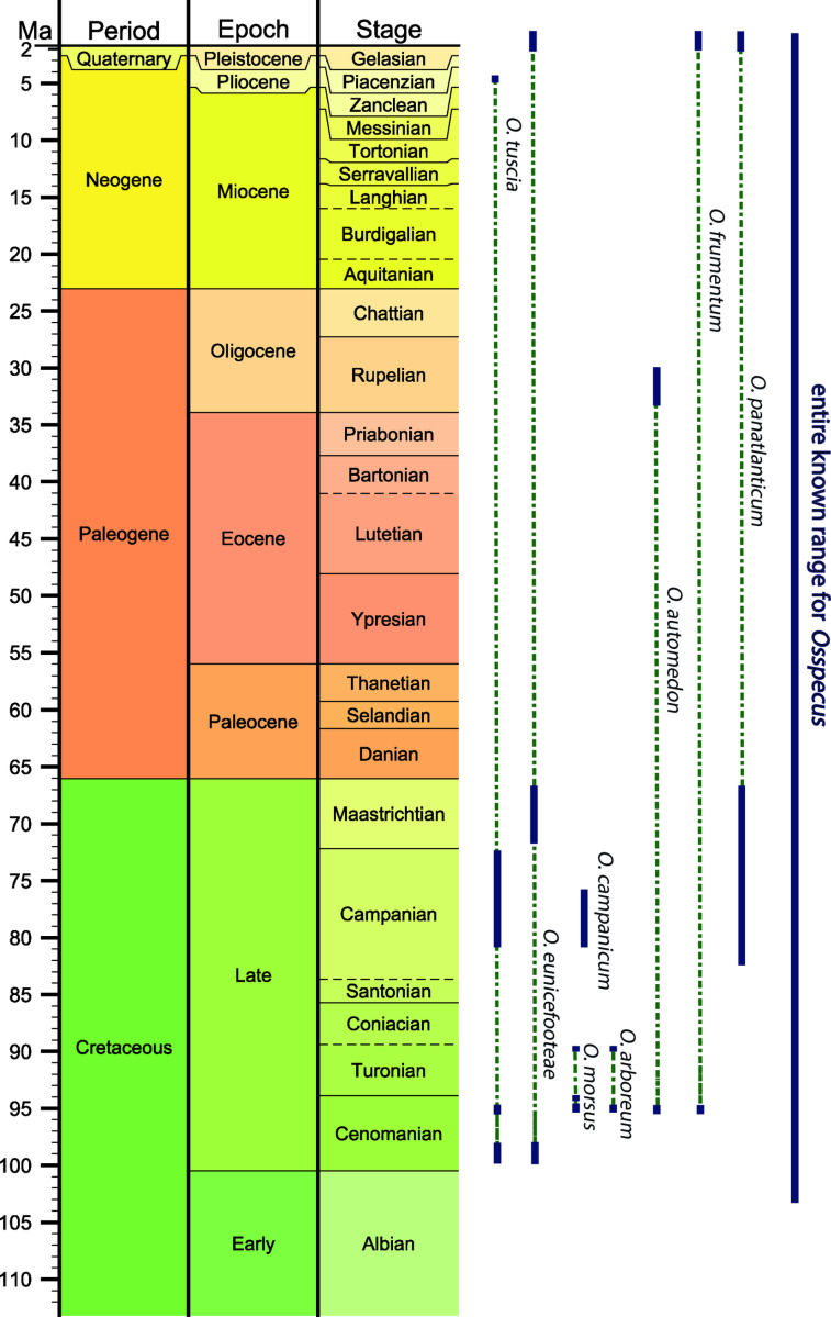 Correction: The evolution of bone-eating worm diversity in the Upper Cretaceous Chalk Group of the United Kingdom.