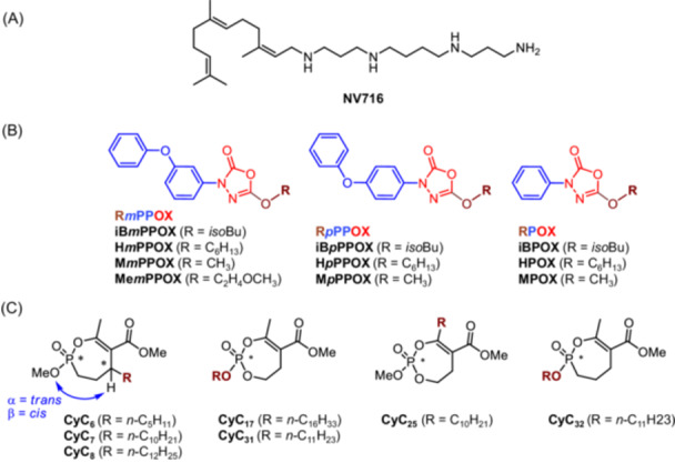 The polyamino-isoprenyl enhancer NV716 enables the antibacterial activity of two families of multi-target inhibitors against the ESKAPEE bacterium <i>Enterobacter cloacae</i>.