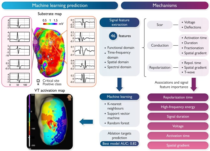 Machine learning approach for automated localization of ventricular tachycardia ablation targets from substrate maps: development and validation in a porcine model.