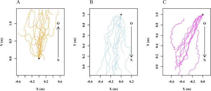 Route learning and transport of resources during colony relocation in Australian desert ants.