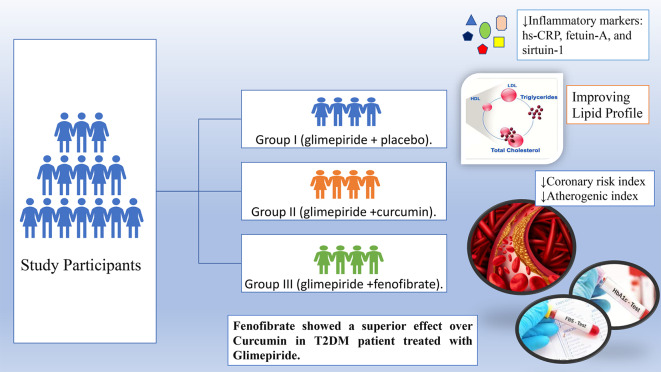 Effect of adding fenofibrate versus curcumin to glimepiride in patients with type 2 diabetes: a randomized controlled trial.